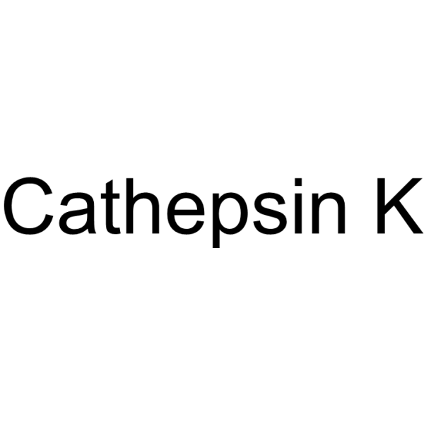 Cathepsin K 94716-09-3